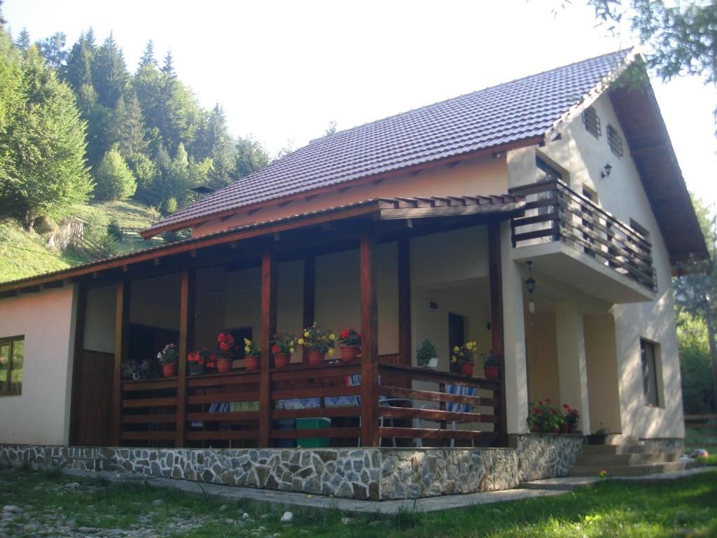 Гостевой дом Casa Maia Dambovicioara Дымбовичоара
